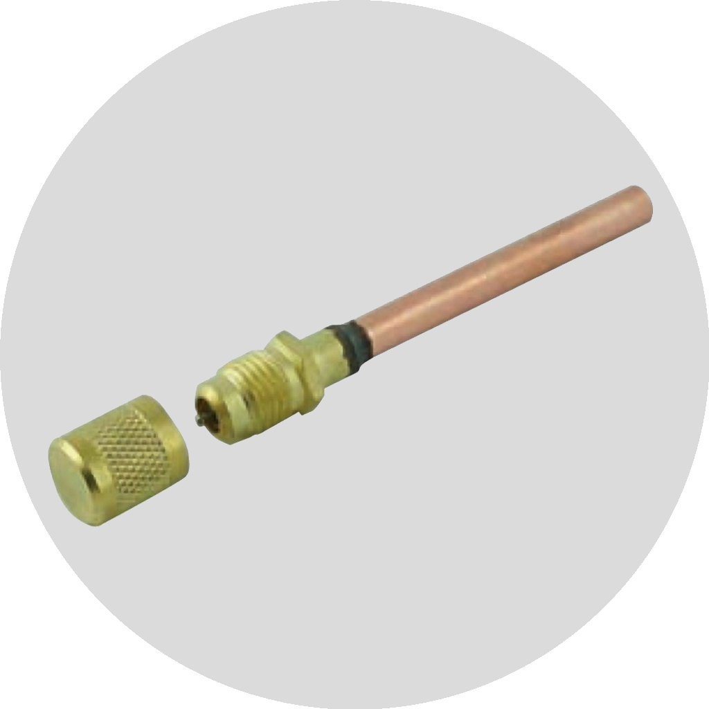 Access Valves