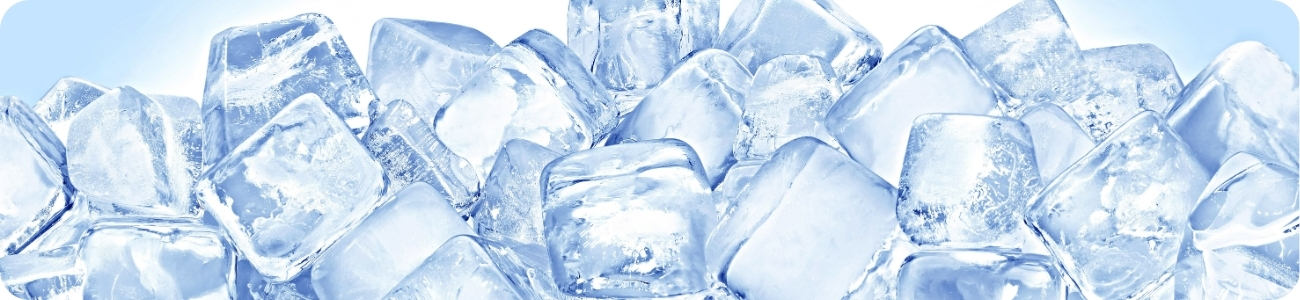 Ice_Makers_and_Bins-fullSize.jpg