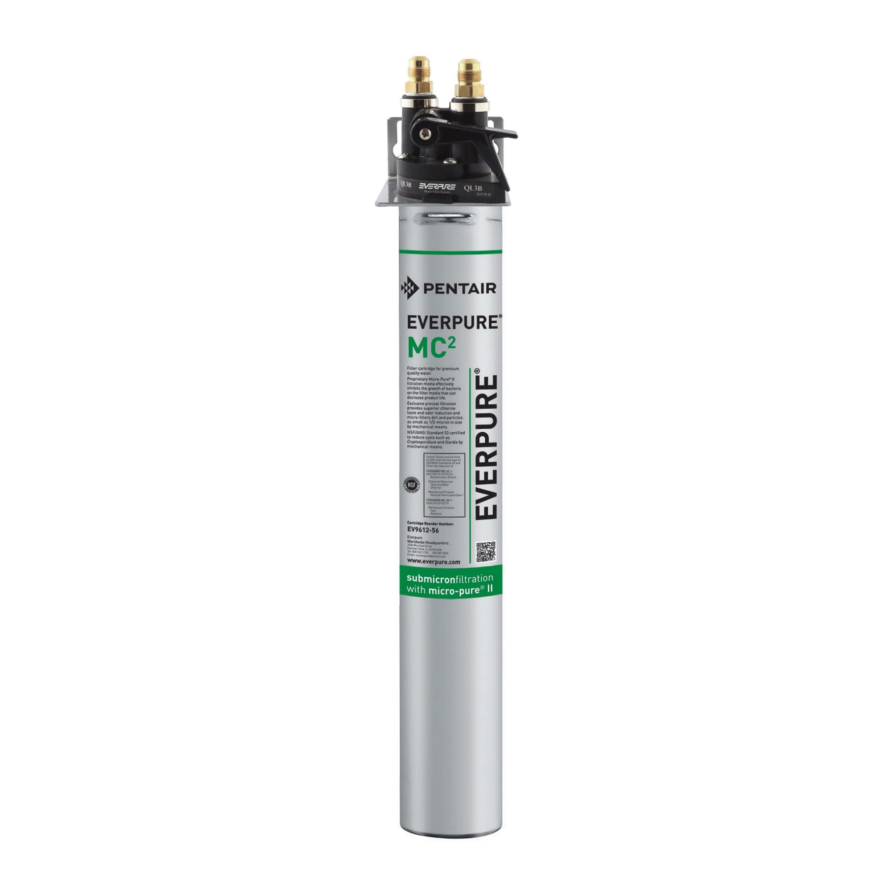 Everpure 09ASSYFLTRSYS01 09D02102