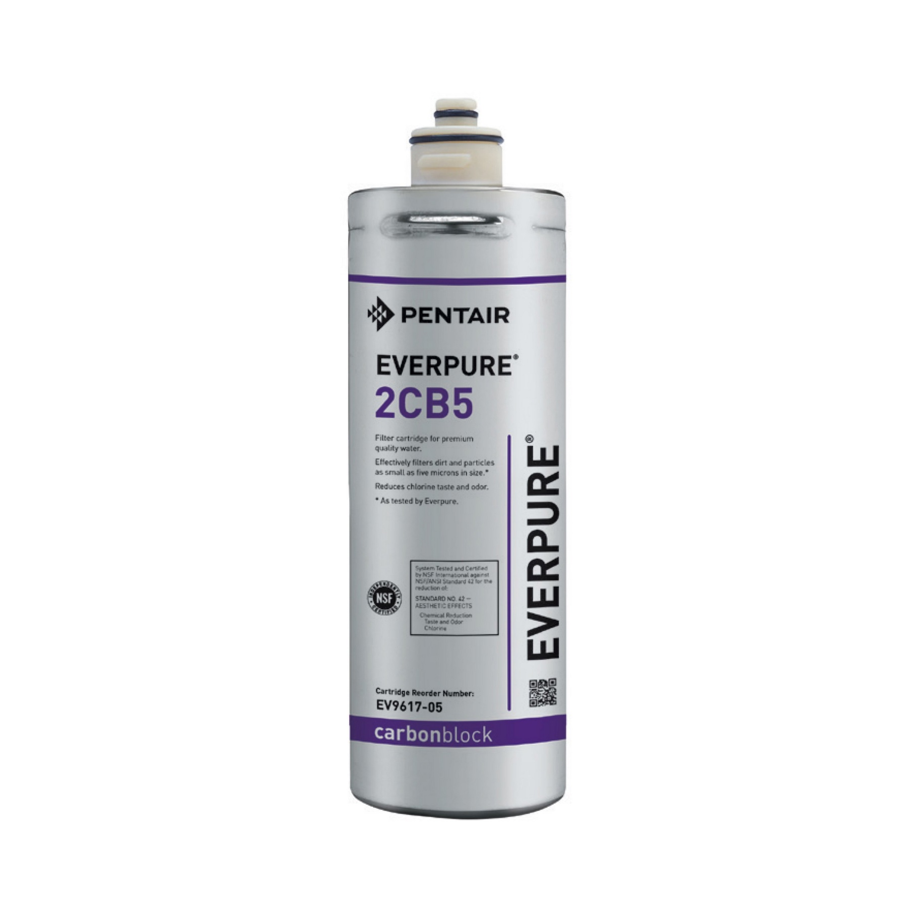 Everpure EV9617-05 09D02110
