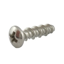 RETAINER PLATE SCREW, SELF-TAPPING (S/S)