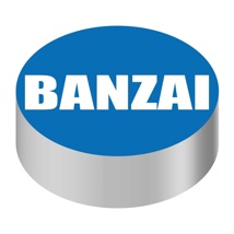 ID CAP-ROUND, BLUE/WHITE (BANZAI)